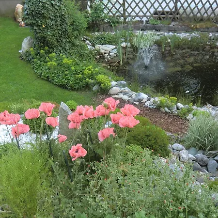 Rosengarten In Gmuend *